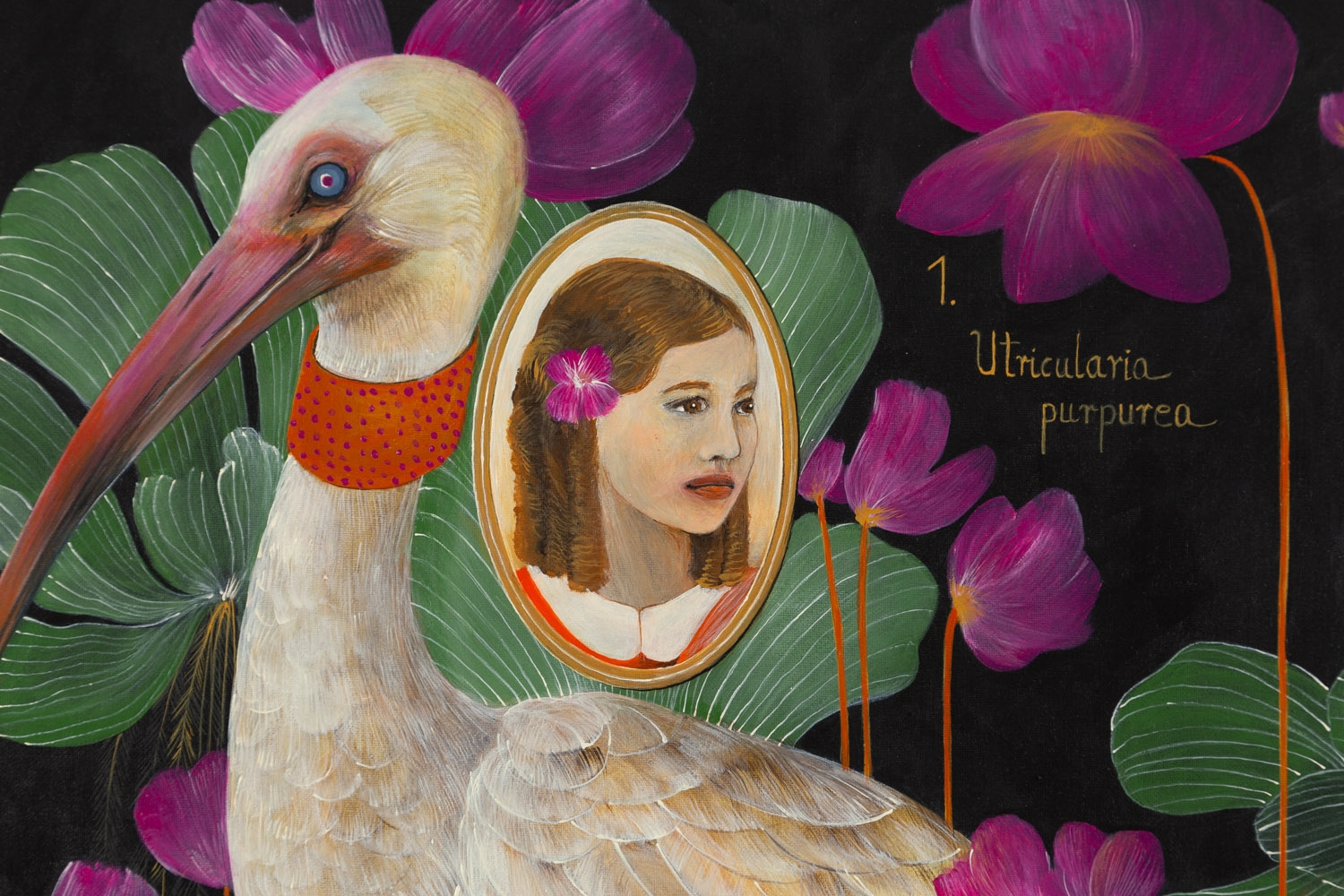 Adelajda Kot | Florka and the White Ibis (2024) | MutualArt