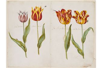 Exhibition Explores 300 Years of Cross-Cultural Exchange Between the Islamic World and the Dutch and Flemish