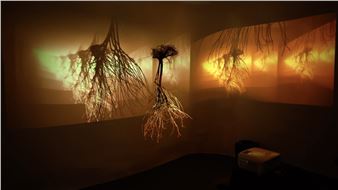 Tyson Houseman & Jessica Reisch: LAB MFA: Rhizomorph - Locust Projects