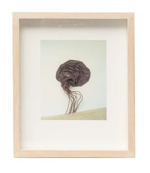 Voorstel tot - Ton Zwerver