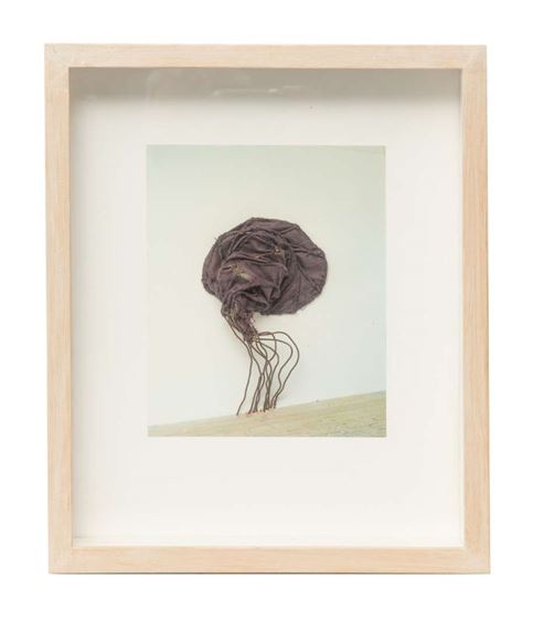 Voorstel tot - Ton Zwerver