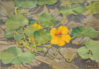 Gele kersenbloem - Johan Briedé