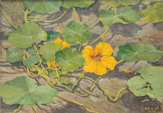 Gele kersenbloem - Johan Briedé