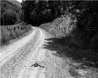 Kristine Potter: Dark Waters - Aperture Foundation
