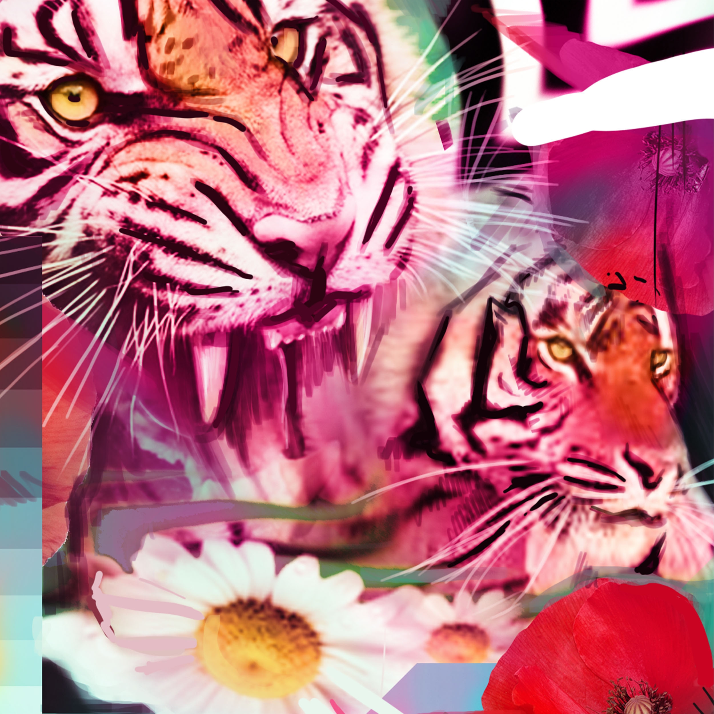 Piskv | Pink Fury | MutualArt