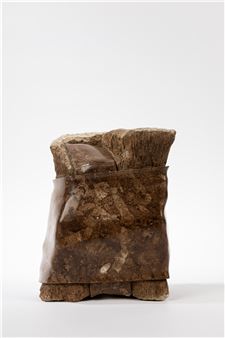 Untitled , 2013 - Ezio Cicciarella