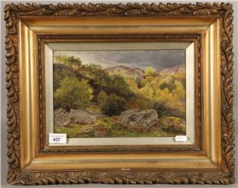 'Sunlight in the Glen - A Storm Coming In' - Thomas Hlison