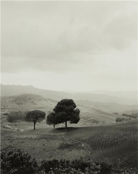 "Sicily" - Tobias Regell