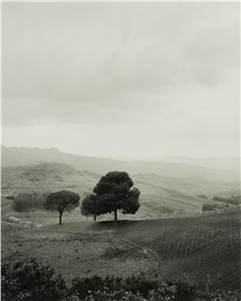&quot;Sicily&quot; - Tobias Regell