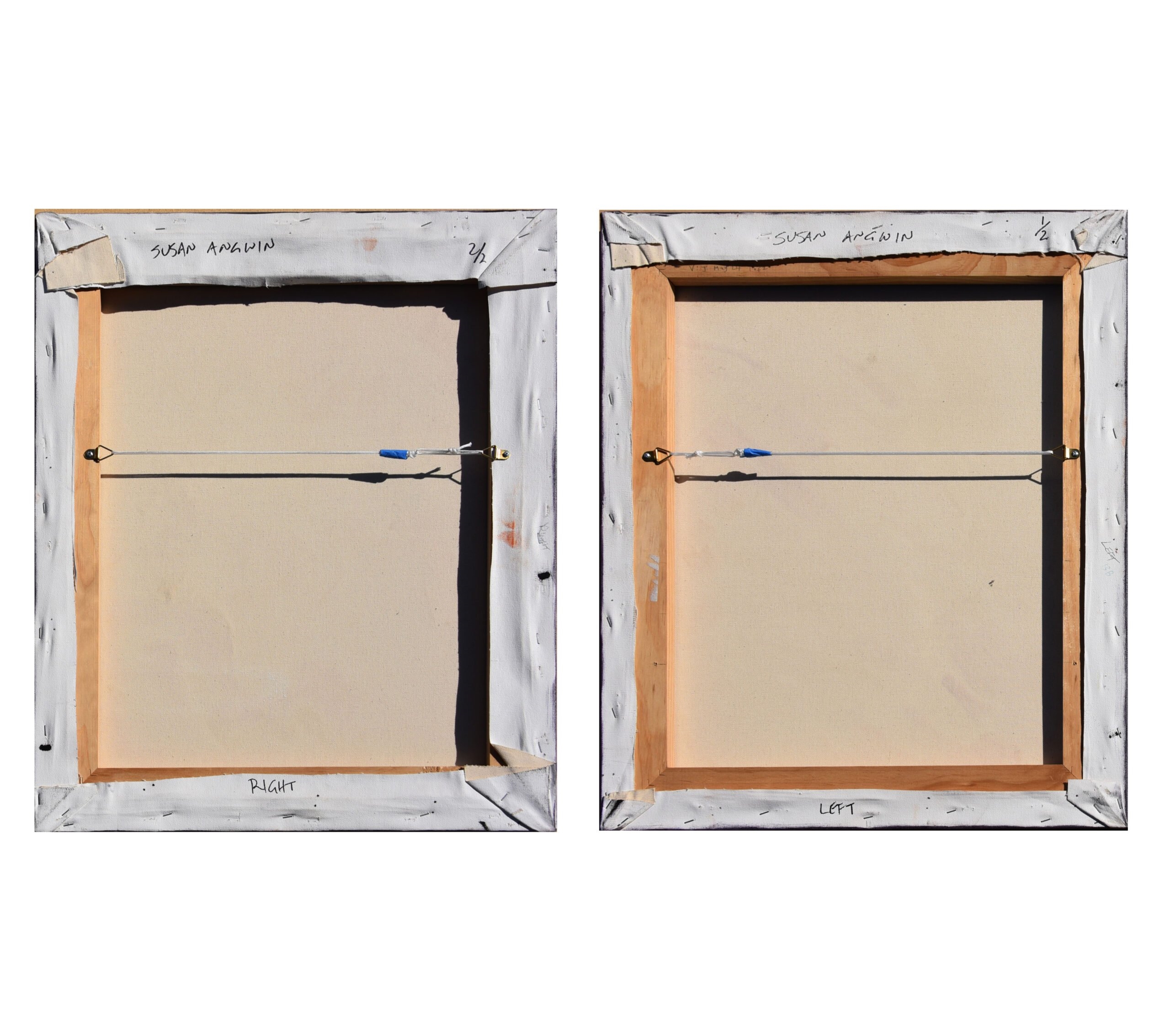 Susan Angwin | Two paintings: “Untitled Diptych | MutualArt