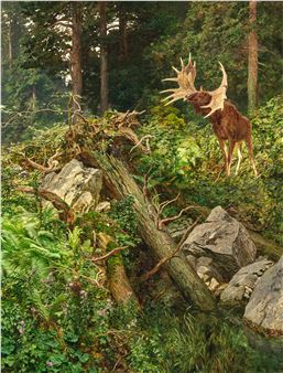 Elch im Windbruch - Leopold Rothaug