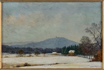 Blick auf den winterlichen Feldberg - C. Bosman