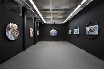 Shelley Smith: Time Isn't After Us - Ortega y Gasset Projects