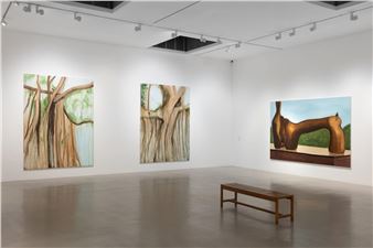 Matthew Krishanu: The Bough Breaks - Camden Art Centre