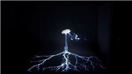 Monitor, Headphones, Projector, Shelf, Ping Pong Table, Live Fungi, Bite-Size Fairies