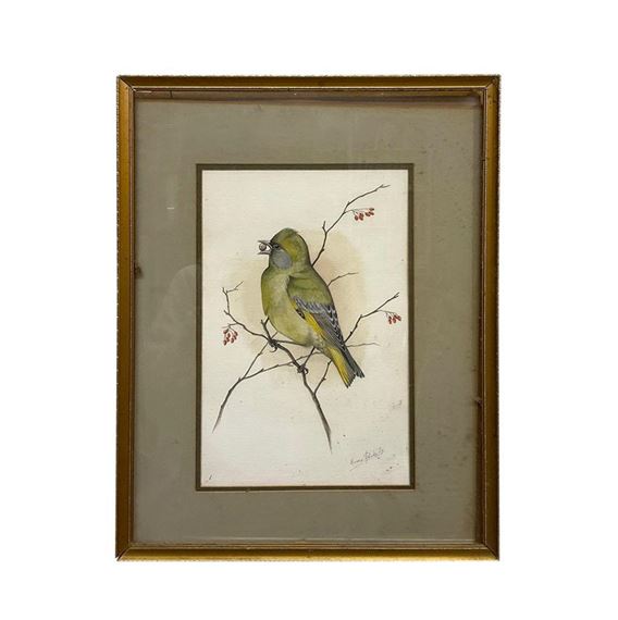 The Greenfinch by Eric Peake, 1979