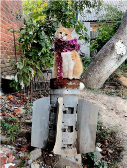 Sergiy Bratkov: My Brother's Cats - Kunstmuseum Magdeburg