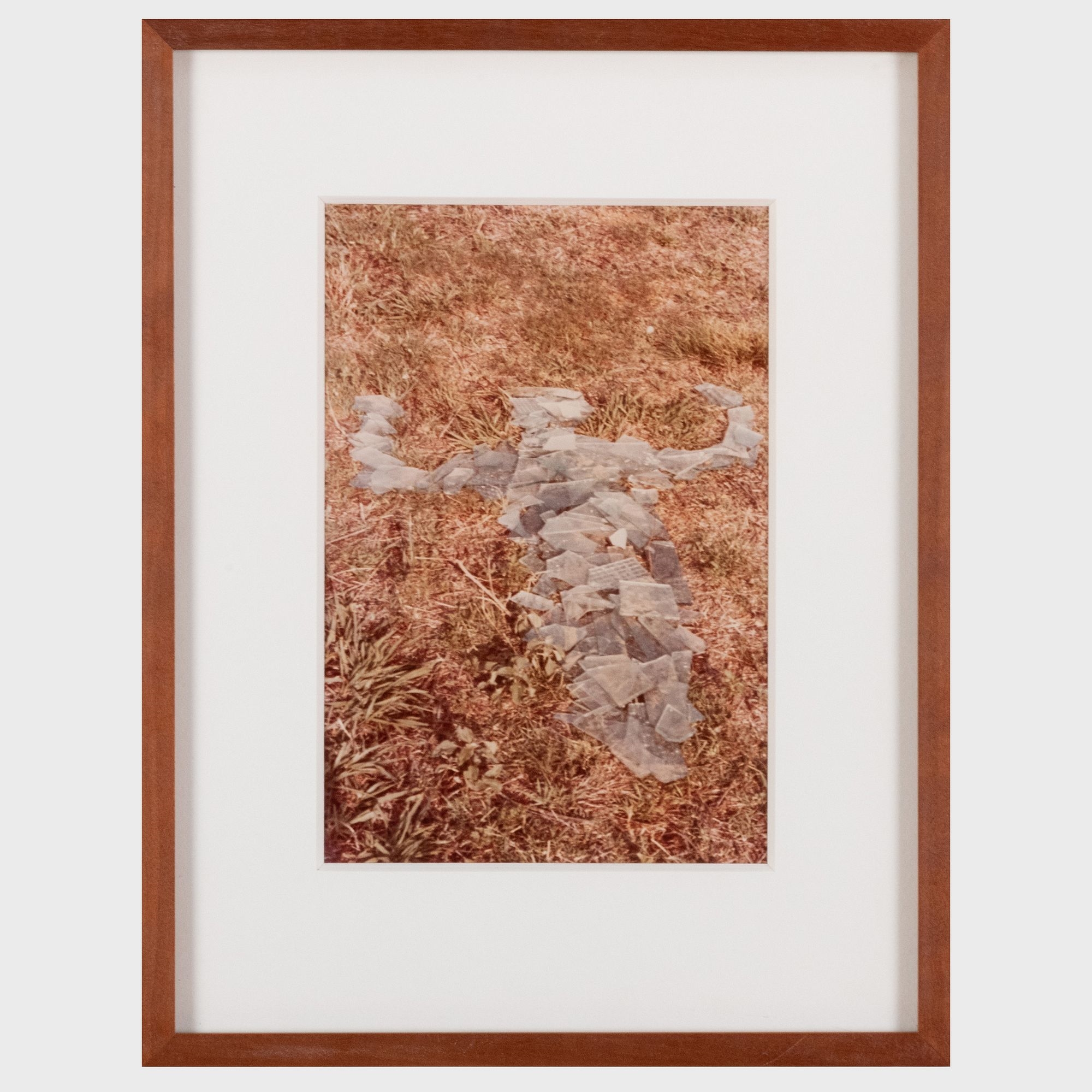 Ana Mendieta | Untitled, from Silueta Series, Iowa (1978) | MutualArt
