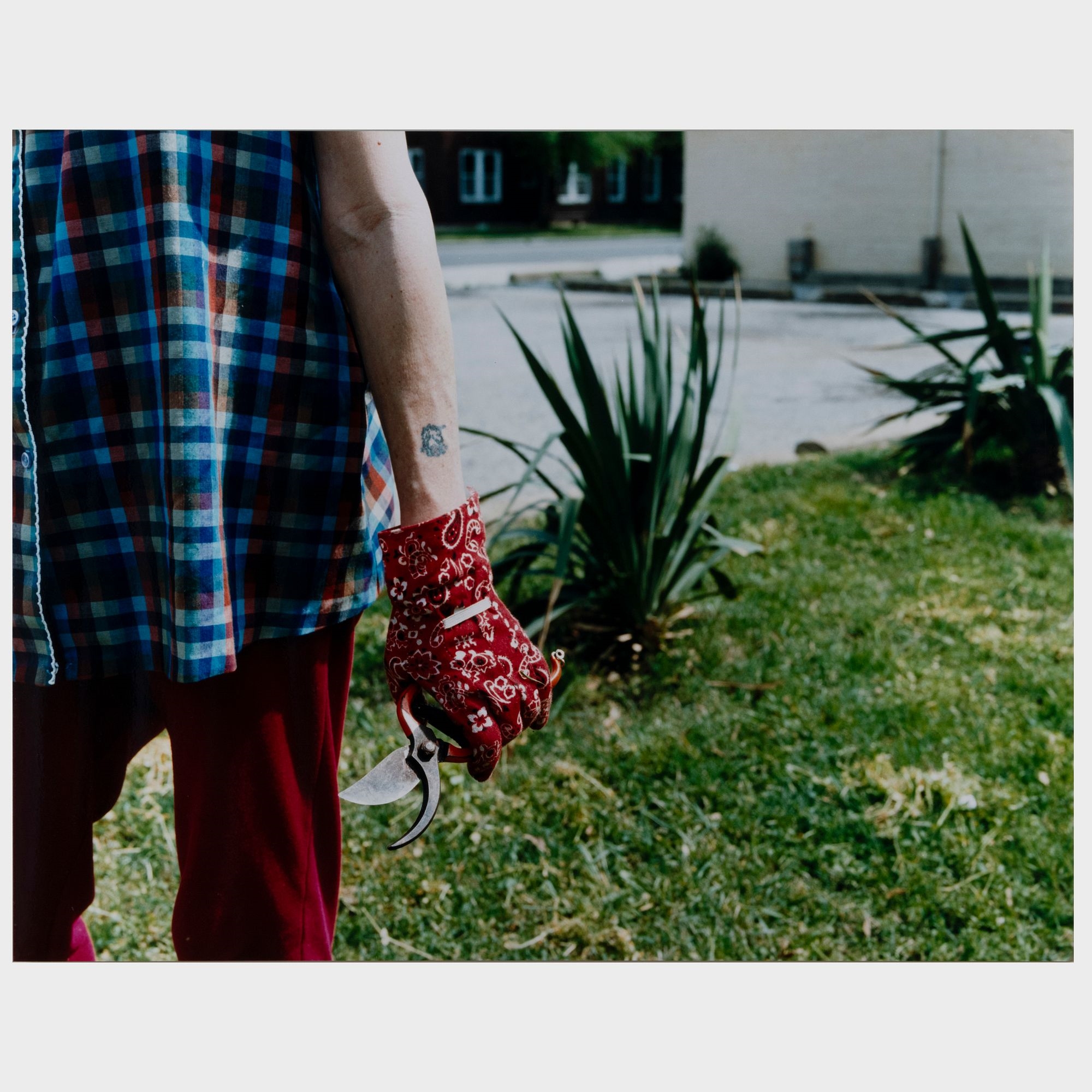 Artwork by Ashley Mitchell, Untitled, Made of Chromogenic prints mounted on Plexiglas