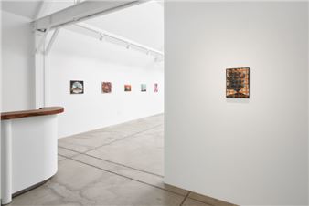 Caragh Thuring - Anthony Meier Fine Arts