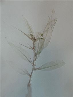 Echoes of Sir Bani Yas: Artistic Reflections - XVA Gallery