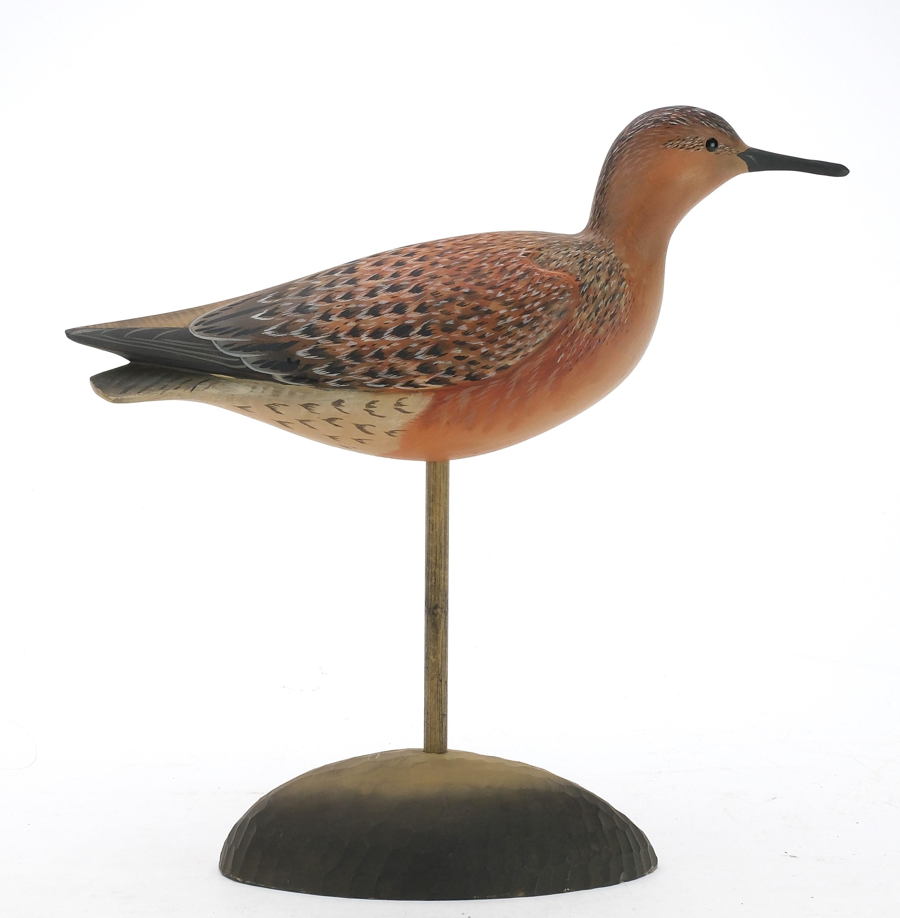 George Strunk | Red knot | MutualArt