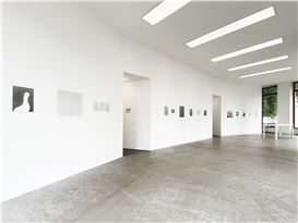 Jochen Lempert “Ankunft der Mauersegler: 26.4.2024” at BQ, Berlin