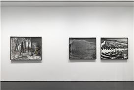 Gagosian Presents First Us Exhibition Centered Exclusively on Anselm Kiefer's Photographs