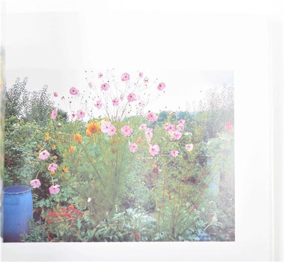 Fischli & Weiss | Peter Fischli / David Weiss, Gärten (Garden