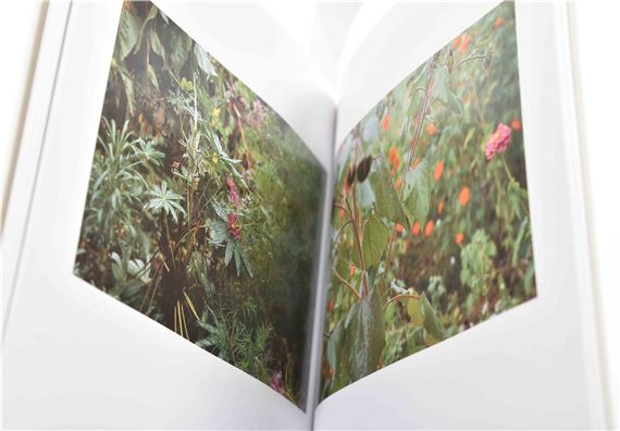 Fischli & Weiss | Peter Fischli / David Weiss, Gärten (Garden