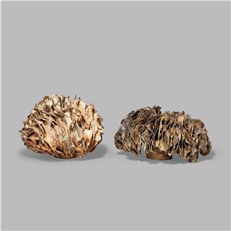 Two organic forms - Anita Rich