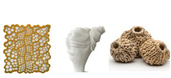 A Cut Above - Onna House