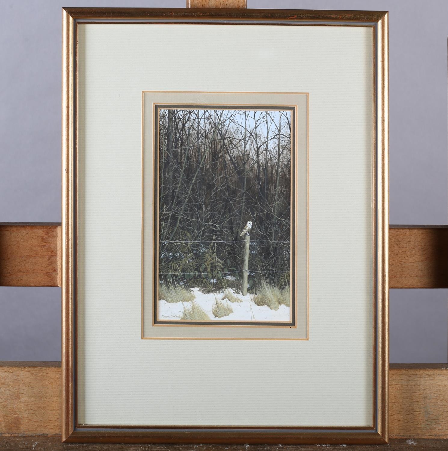Simon Turvey | barn owl | MutualArt