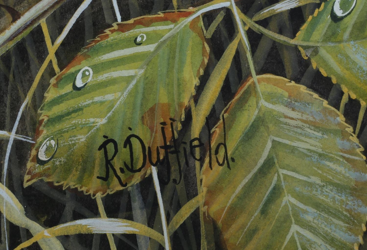 Richard Duffield | Pheasant cock and hen in covert | MutualArt