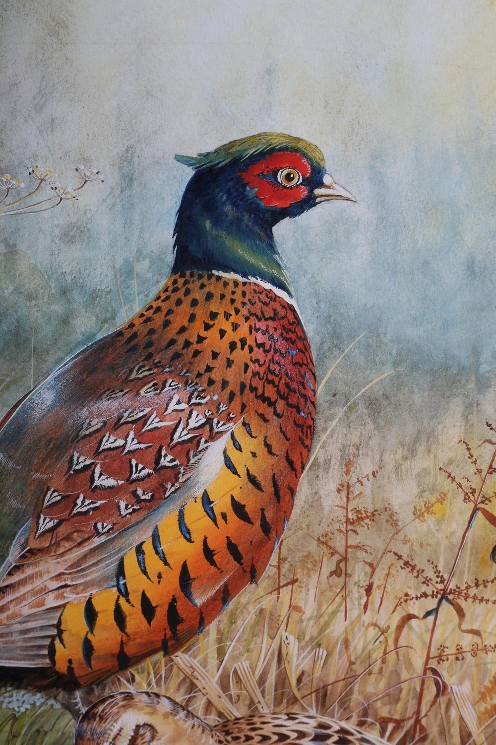 Richard Duffield | Pheasant cock and hen in covert | MutualArt