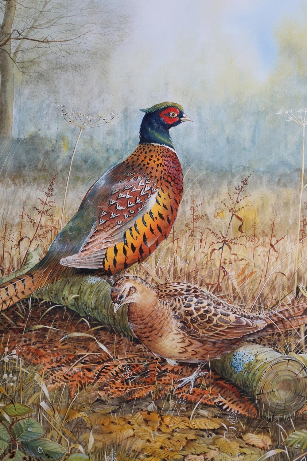 Richard Duffield | Pheasant cock and hen in covert | MutualArt