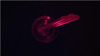 Yuki Kimura: Time Paradox - Galerie Chantal Crousel