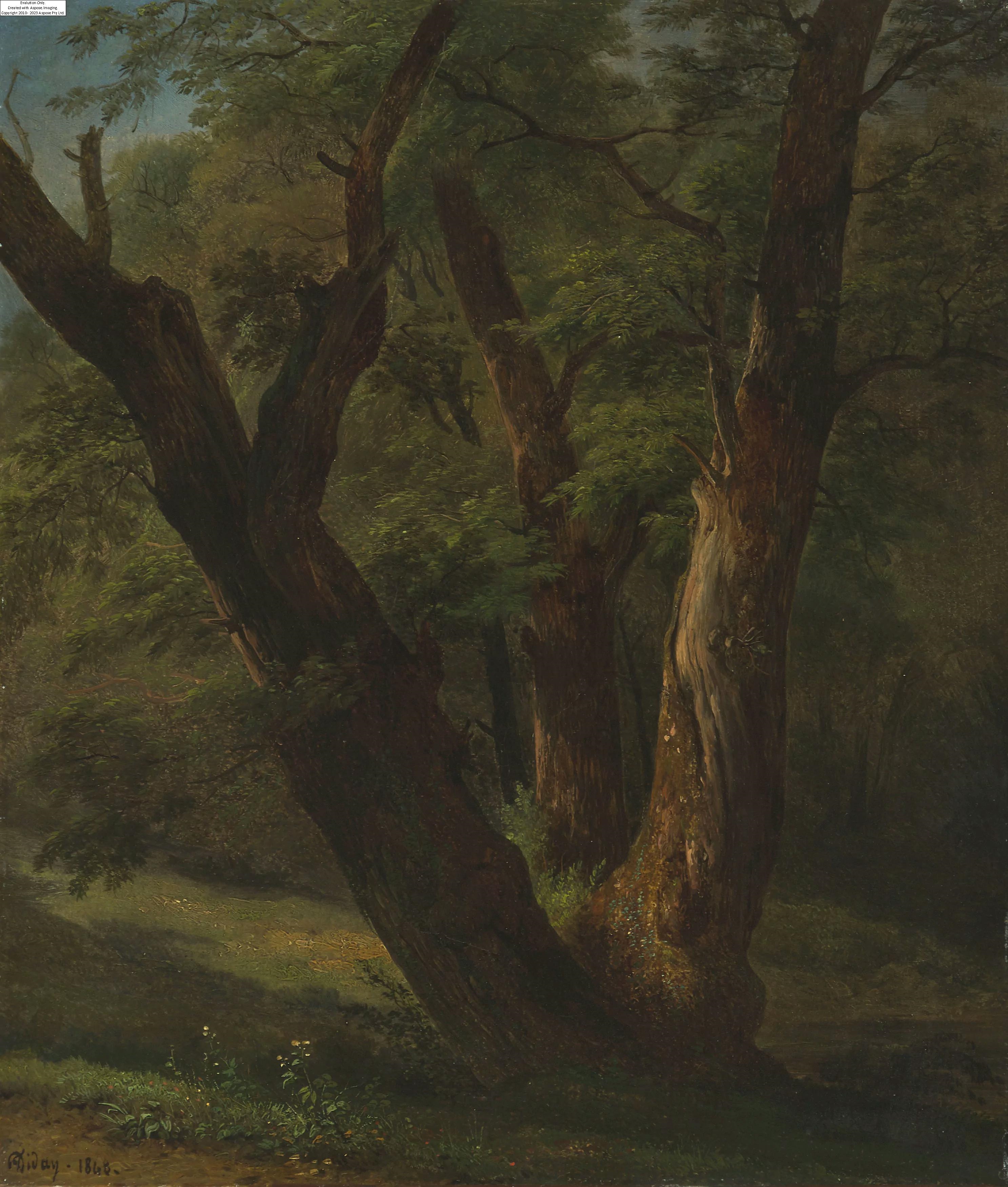 François Diday | Etude de châtaigniers (1802 - 1877) | MutualArt