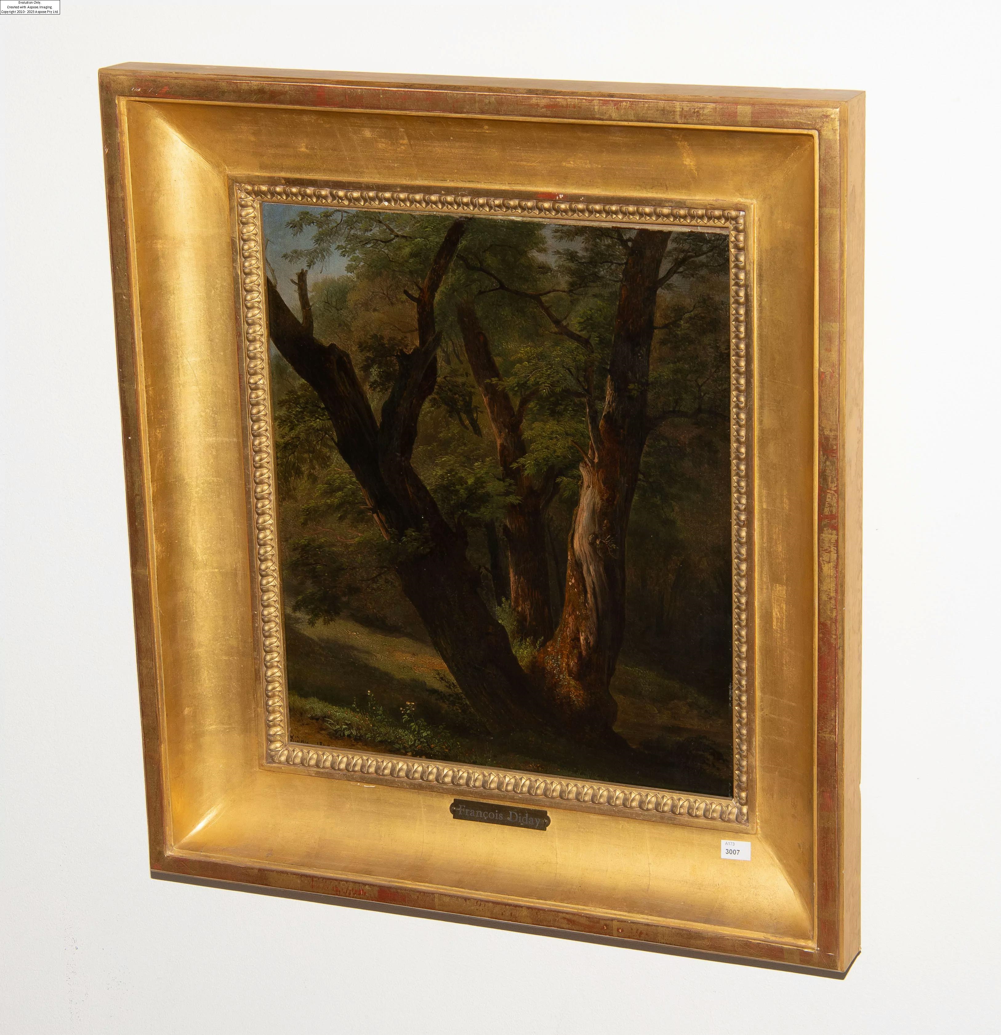François Diday | Etude de châtaigniers (1802 - 1877) | MutualArt