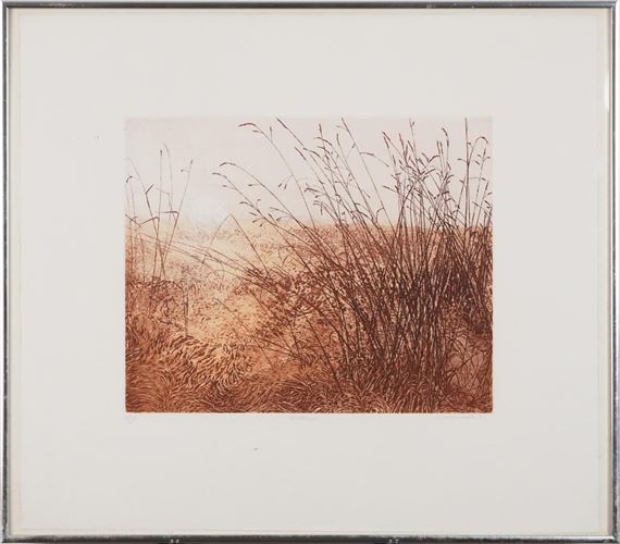 Phil Greenwood | Phil Greenwood - White Sun and Border Country