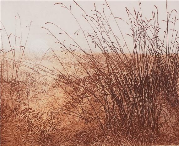 Phil Greenwood | Phil Greenwood - White Sun and Border Country