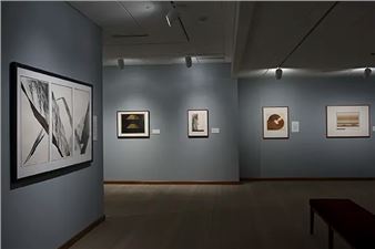 The Anniversary Show: Promised Gifts from the Joy and Timothy Light Collection - Kalamazoo Institute of Arts