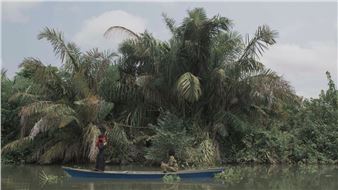 Mónica De Miranda: Path to the Stars - Blanton Museum of Art