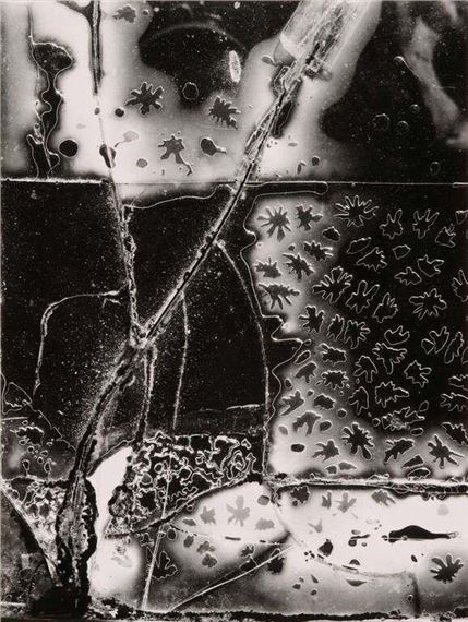 Brett Weston | Brett Weston Master Photographer (1989