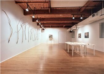 An Whitlock: Rites And Recollections - Christopher Cutts Gallery