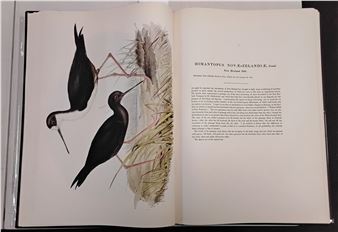 Volume IV, Lansdowne Press  facsimile - John Gould