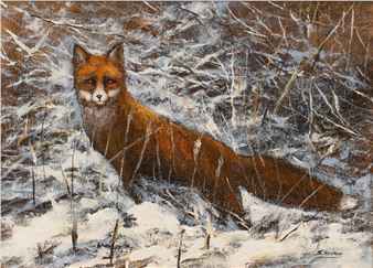 Fox Painting - Svend Hvorup