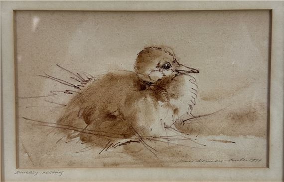 Ian Armour-Chelu | Duckling Resting (1977) | MutualArt