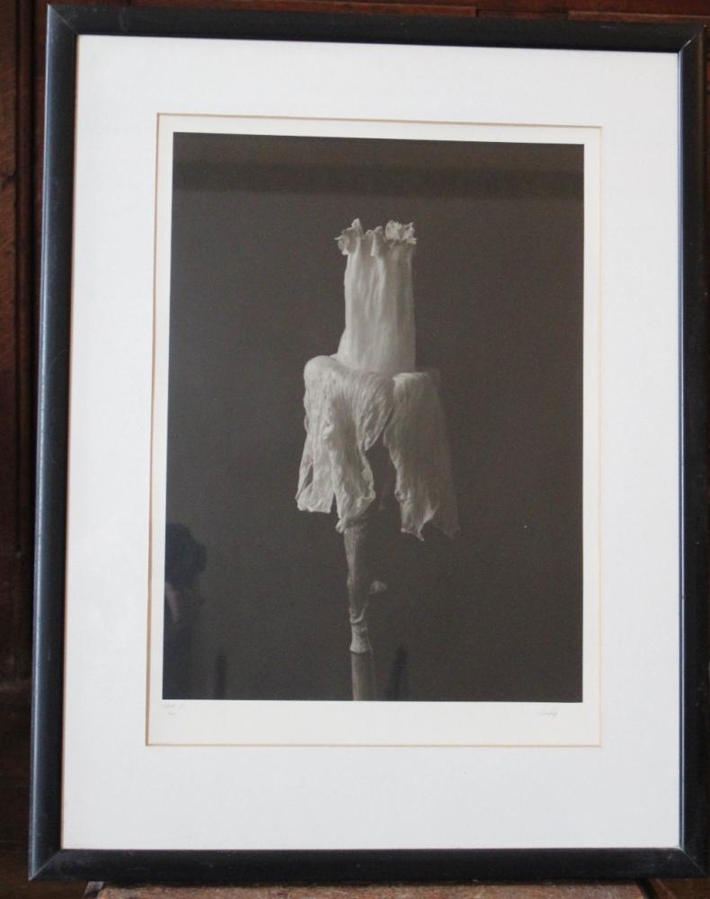 Bruce Rae | Bruce Rae | MutualArt