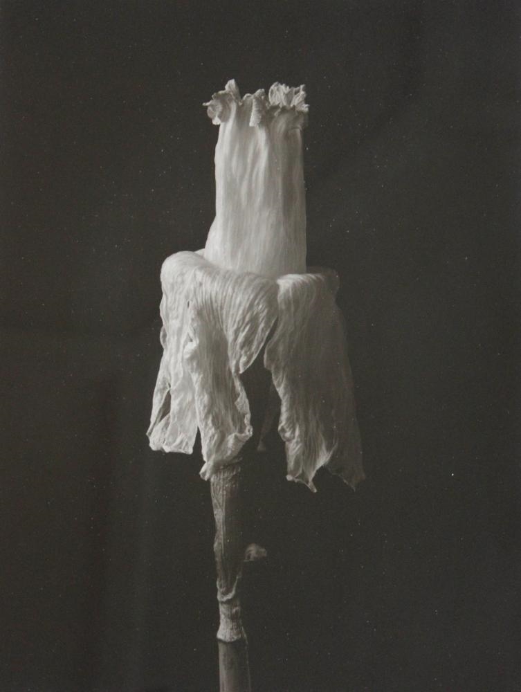 Bruce Rae | Bruce Rae | MutualArt